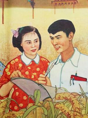 我们村里的年轻人(续集)