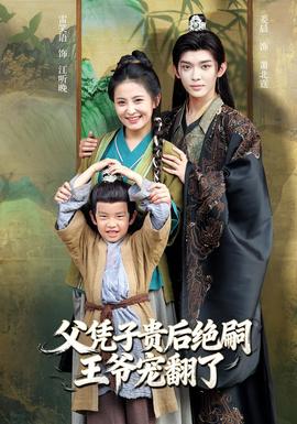 父凭子贵后绝嗣王爷宠翻了